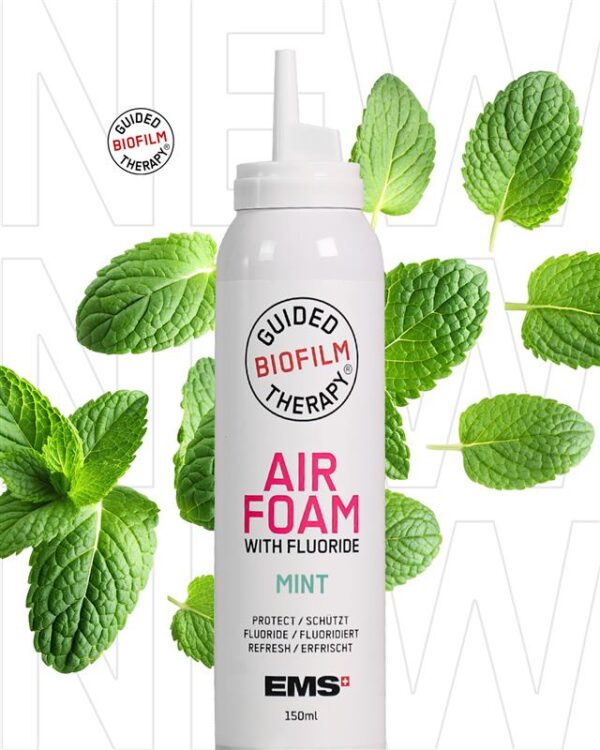 GBT Airfoam Mint
